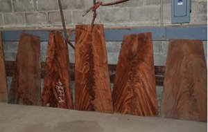 Amazing Crotch Mahogany 2 cm_3_300