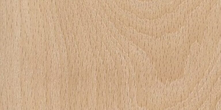 Species 10 American Beech lumber at Rare Woods USA