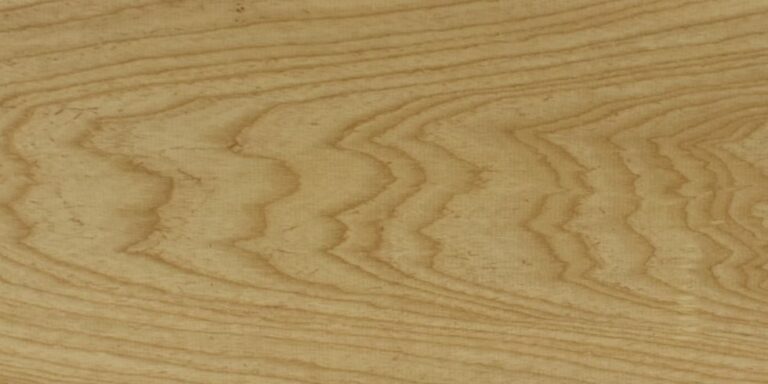 Species 7 Swamp Ash lumber at Rare Woods USA