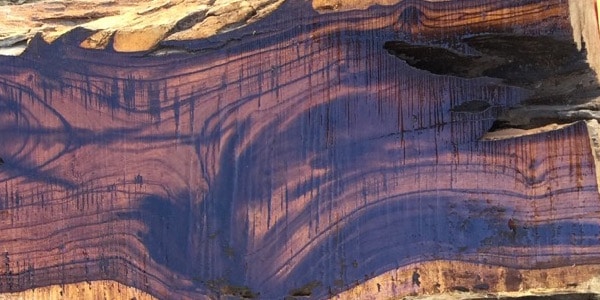 Desert Ironwood lumber at Rare Woods USA