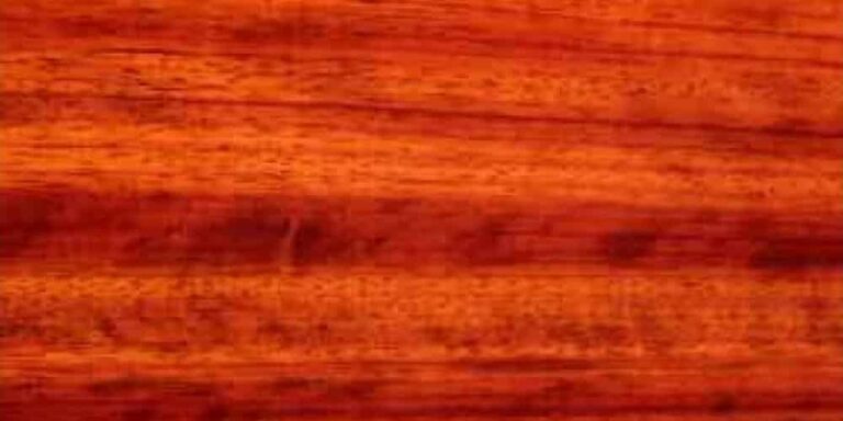 Padauk - African 33 African Padauk lumber at Rare Woods USA