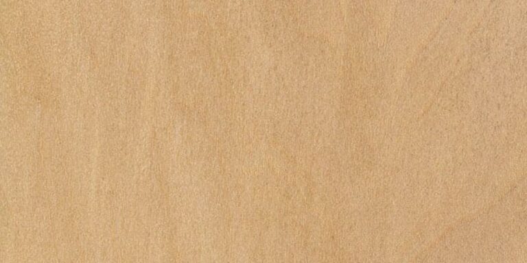Species 9 Basswood Lumber @ Rare Woods USA
