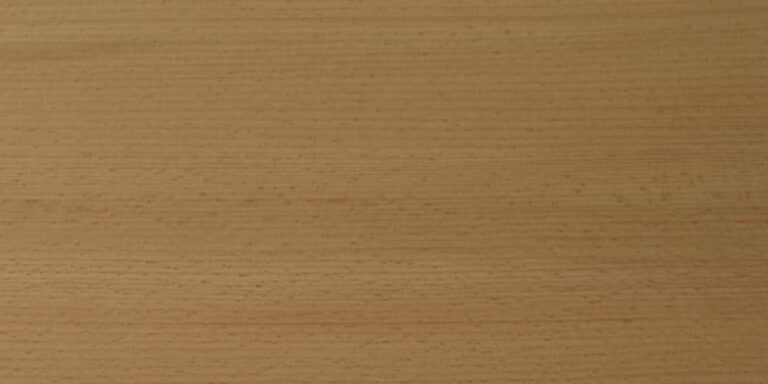 Species 11 Beech - European Lumber @ Rare Woods USA