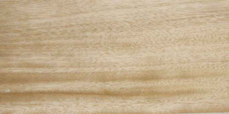 Species 8 Avodire lumber at Rare Woods USA