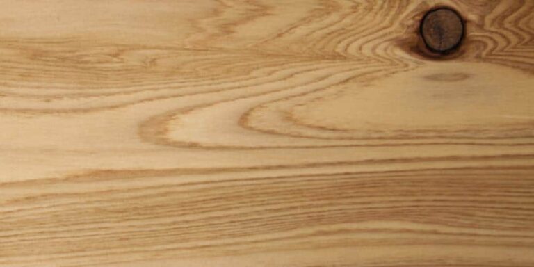 Species 9 Japanese Cedar %page% (Cryptomeria japonica) %sep% %sitename%