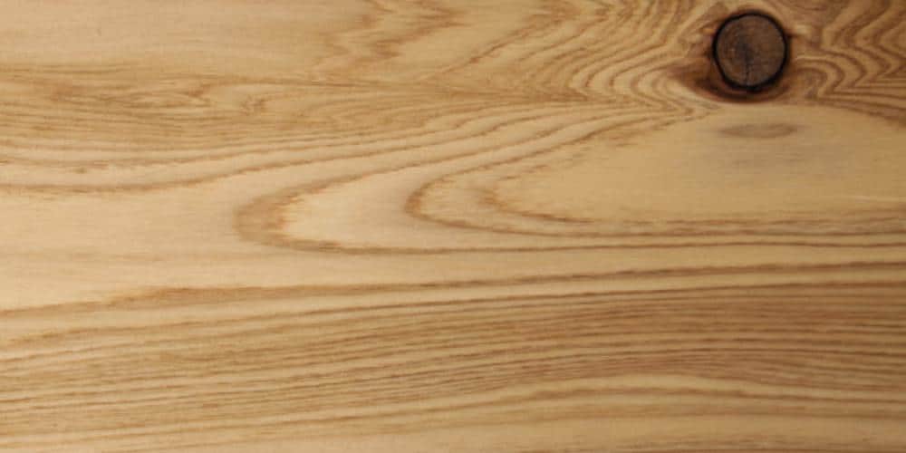 Japanese Cedar %page% (Cryptomeria japonica) %sep% %sitename%