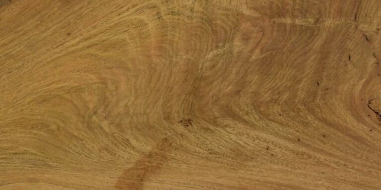 Species 14 Cerejeira Crotch lumber at Rare Woods USA