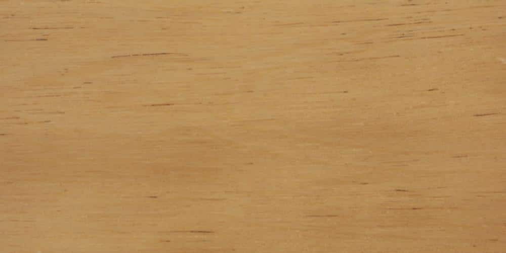 Jelutong lumber at Rare Woods USA