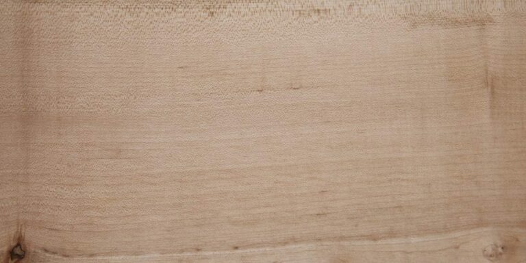 Sycamore - French 23 European Sycamore lumber at Rare Woods USA