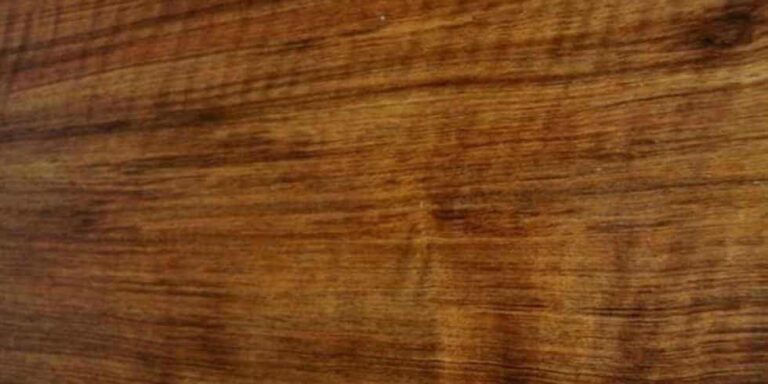 Tamboti 24 Tamboti lumber at Rare Woods USA