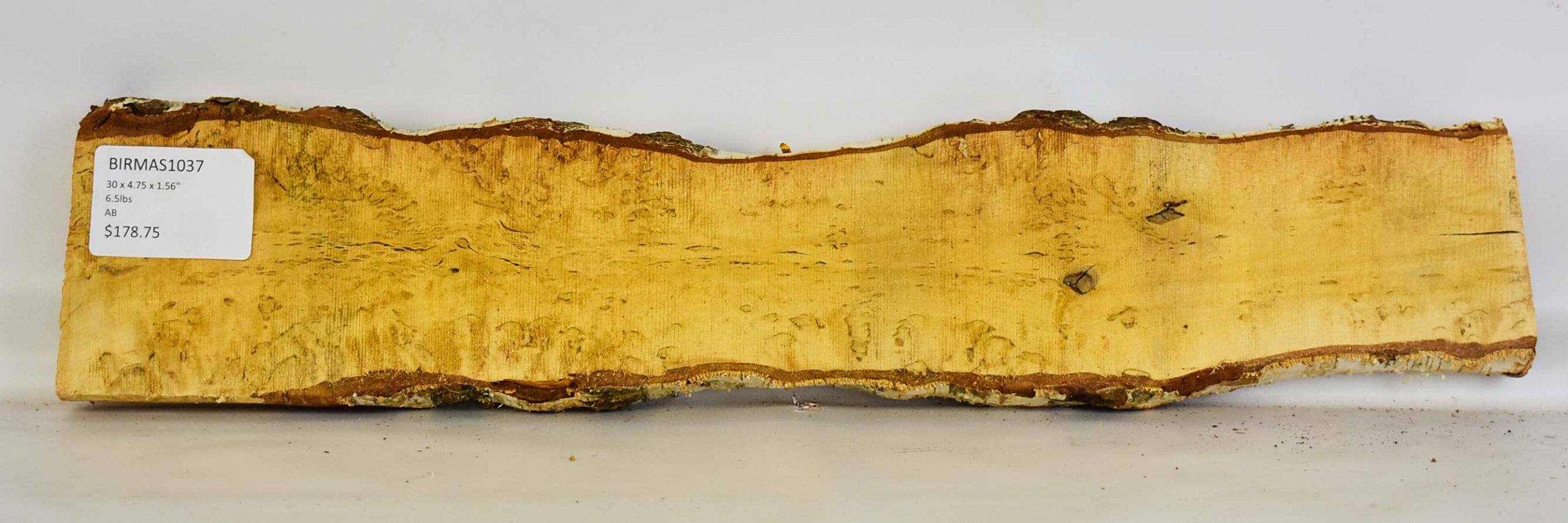 Birch - Masur 2 Birch - Masur - Image 2
