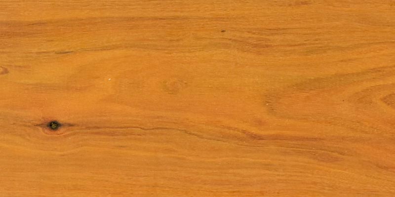 Chakte Viga lumber at Rare Woods USA