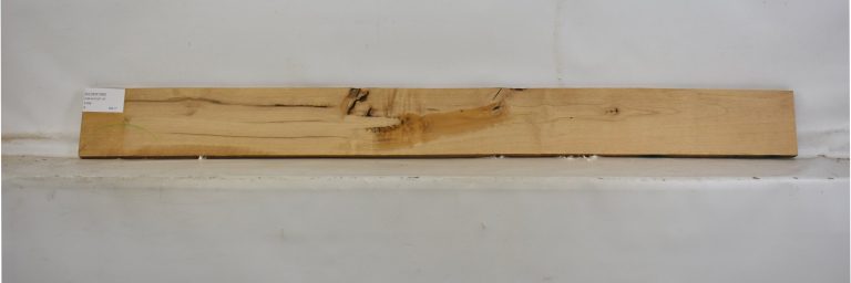 Alder 7 ALDER1065_1
