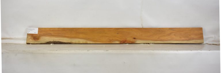 Chakte Viga 6 CHAKVIG1075_1