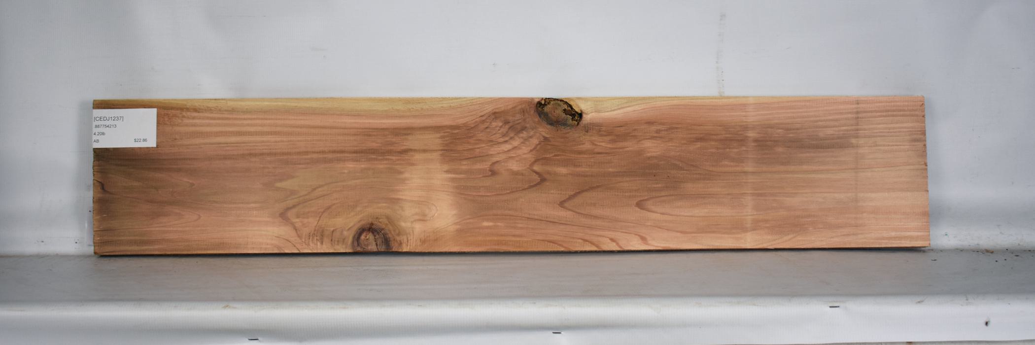 Cedar - Japanese 1 CEDJ1237_1