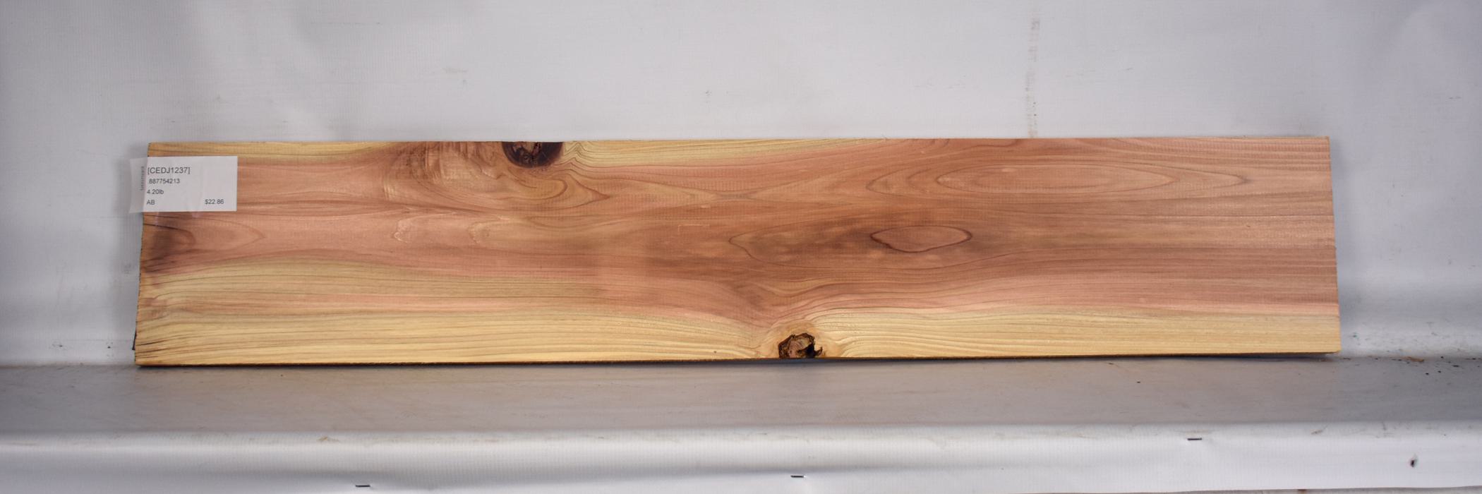 Cedar - Japanese 2 CEDJ1237_2