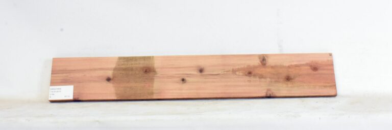 Cedar - Japanese 14 CEDJ1455_1