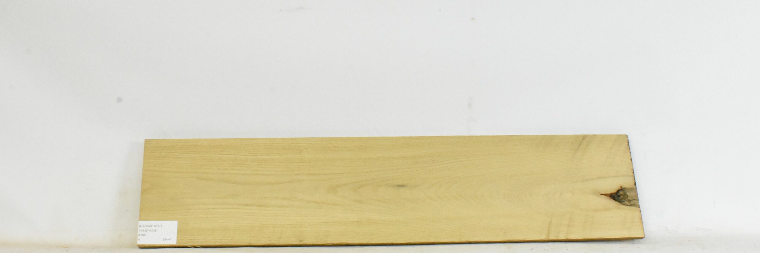 Sassafras 2 SASSAF1237_2