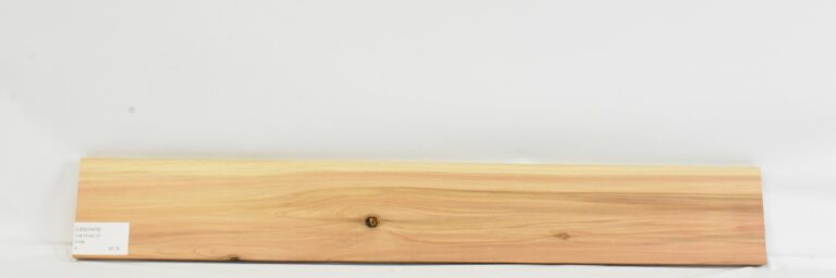 Cedar - Japanese 8 CEDJ1476_1