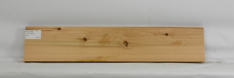Cedar - Japanese 5 CEDJ1495_1