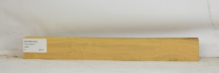 SATINEI1263_1