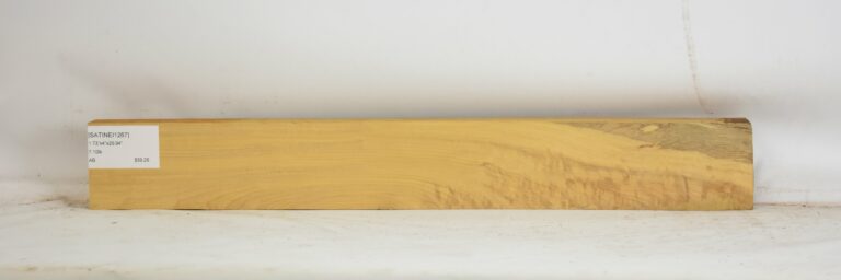 SATINEI1267_1