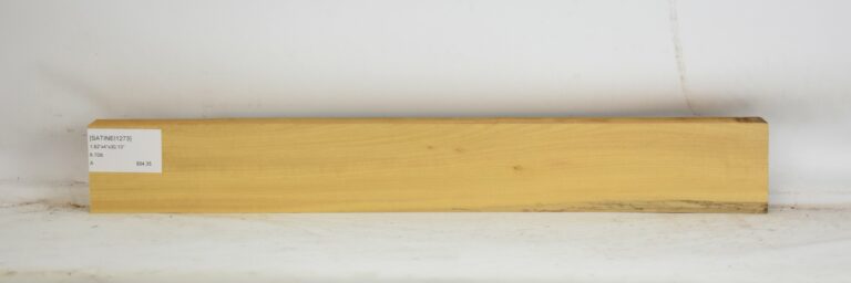 SATINEI1273_1